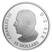 15 Dollars obverse