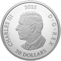 20 Dollars obverse