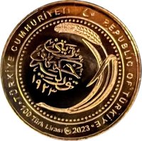 100 Lira obverse