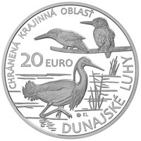 20 Euro reverse