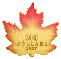 200 Dollars reverse