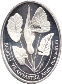 7500000 Lira reverse