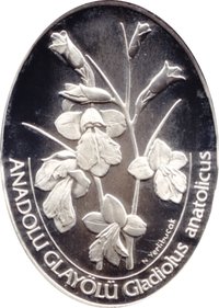 7500000 Lira reverse