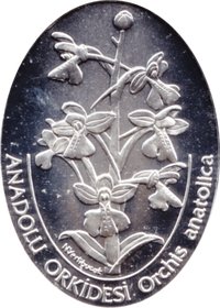 7500000 Lira reverse