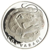 20 Lira reverse