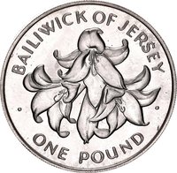 1 Pound reverse