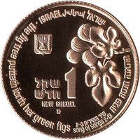 1 New Sheqel obverse