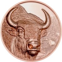 250 Tögrög reverse