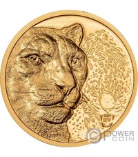 1000 Tögrög reverse