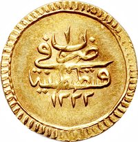 1 Findik reverse