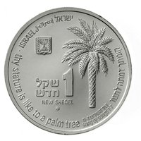 1 New Sheqel obverse