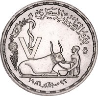5 Pounds reverse