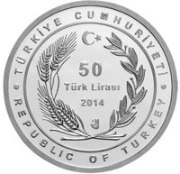 50 Lira obverse