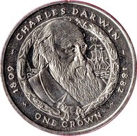 1 Crown reverse