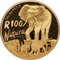 100 Rand reverse