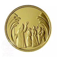 1 New Sheqel reverse