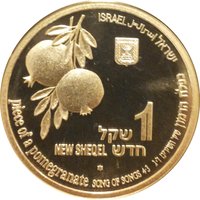 1 New Sheqel obverse