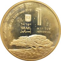 1 New Sheqel obverse