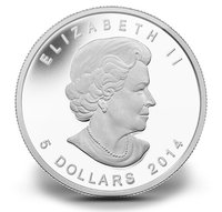 5 Dollars obverse