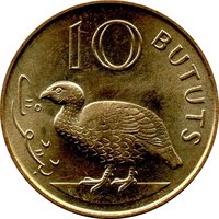 10 Bututs reverse