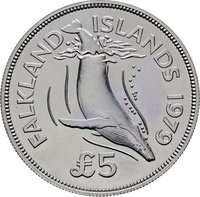 5 Pounds reverse