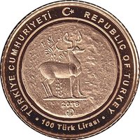 100 Lira obverse