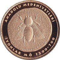 100 Lira reverse