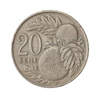 20 Cents reverse
