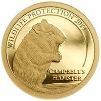 500 Tögrög reverse