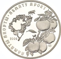 500 Tenge reverse